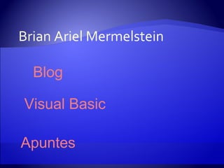 Brian Ariel Mermelstein Blog Visual Basic Apuntes 