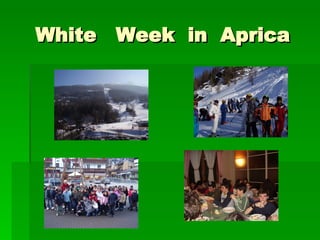 White  Week  in  Aprica 