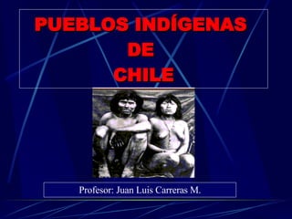 PUEBLOS INDÍGENAS  DE  CHILE Profesor: Juan Luis Carreras M. 
