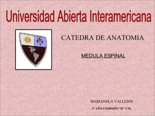 Universidad Abierta Interamericana CATEDRA DE ANATOMIA MEDULA ESPINAL MARIANELA VALLEJOS 1° AÑO COMISIÓN “D” T.M. 