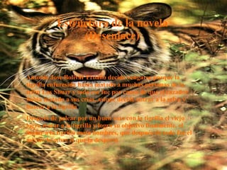Estructura de la novela Antonio Jose Bolivar Proaño decide vengarse porque la tigrilla enfuresida habia matado a muchas personas de la tribu Los Shuar y todo eso fue por causa de que el cazador habia matado a sus crias, asique decide entrar a la selva y buscar a la tigrilla Después  de pelear por un buen rato con la tigrilla  el viejo logra matar a la tigrilla y logra su objetivo finalmente, el matar a  la tigrilla  mata hombres, que después de todo fue el mismo hombre el que la despertó Antonio Jose Bolivar Proaño decide vengarse porque la tigrilla enfuresida habia matado a muchas personas de la tribu Los Shuar y todo eso fue por causa de que el cazador habia matado a sus crias, asique decide entrar a la selva y buscar a la tigrilla Después  de pelear por un buen rato con la tigrilla  el viejo logra matar a la tigrilla y logra su objetivo finalmente, el matar a  la tigrilla  mata hombres, que después de todo fue el mismo hombre el que la despertó Estructura de la novela (Desenlace) 