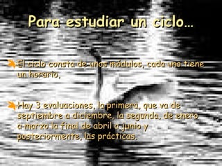 Para estudiar un ciclo… El ciclo consta de unos módulos, cada uno tiene un horario,  Hay 3 evaluaciones, la primera, que va de septiembre a diciembre, la segunda, de enero a marzo la final de abril a junio y posteriormente, las prácticas. 
