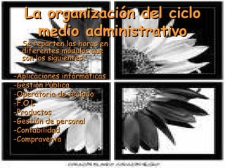 La organización del ciclo medio administrativo Se reparten las horas en diferentes módulos que son los siguientes: -Aplicaciones informáticas -Gestión Pública -Operatoria de teclado -F.O.L -Productos -Gestión de personal -Contabilidad -Compraventa 