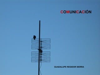 COMUNICACIÓN




GUADALUPE REGIDOR SIERRA
 