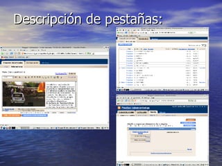 Descripción de pestañas: 