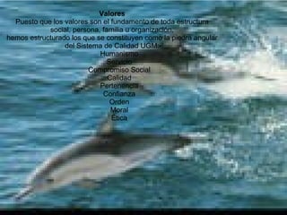 Valores  Puesto que los valores son el fundamento de toda estructura  social, persona, familia u organización,  hemos estructurado los que se constituyen como la piedra angular  del Sistema de Calidad UGM:  Humanismo  Servicio  Compromiso Social  Calidad  Pertenencia  Confianza  Orden  Moral  Ética  