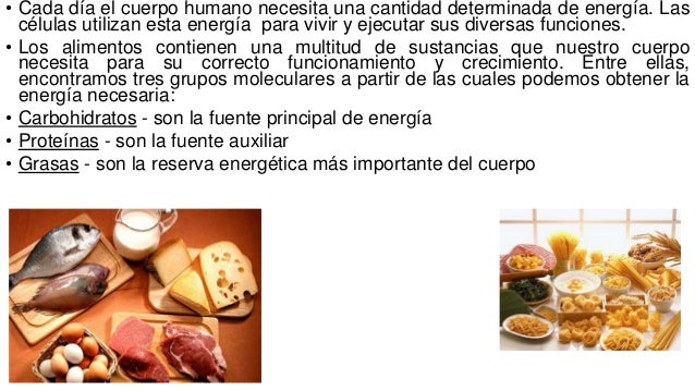 LA ENERGÍA DEL SER HUMANO