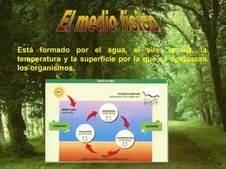TEMA 4 LOS ECOSISTEMAS PPT tema-4-los-ecosistemas-ppt
