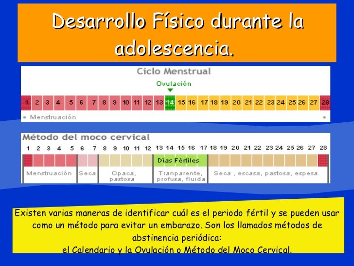 Desarrollo Físico durante la adolescencia.   Existen varias maneras de identificar cuál es el periodo fértil y se pueden u...