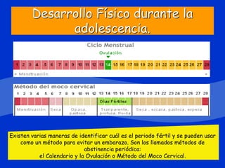 Desarrollo Físico durante la
adolescencia.
Existen varias maneras de identificar cuál es el periodo fértil y se pueden usar
como un método para evitar un embarazo. Son los llamados métodos de
abstinencia periódica:
el Calendario y la Ovulación o Método del Moco Cervical.
 