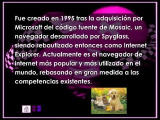 Fue creado en 1995 tras la adquisición por Microsoft del código fuente de Mosaic, un  navegador desarrollado por Spyglass,  siendo rebautizado entonces como Internet  Explorer. Actualmente es el navegador de  internet más popular y más utilizado en el  mundo, rebasando en gran medida a las  competencias existentes . 