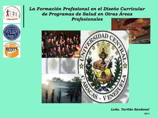 La Formación Profesional en el Diseño Curricular de Programas de Salud en Otras Áreas Profesionales Lcda. Yarilde Sandoval 2011 