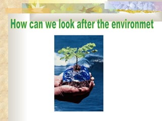 How can we look after the environmet 