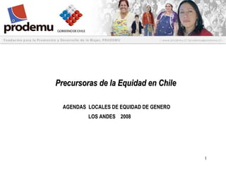Precursoras de la Equidad en Chile AGENDAS  LOCALES DE EQUIDAD DE GENERO LOS ANDES  2008 
