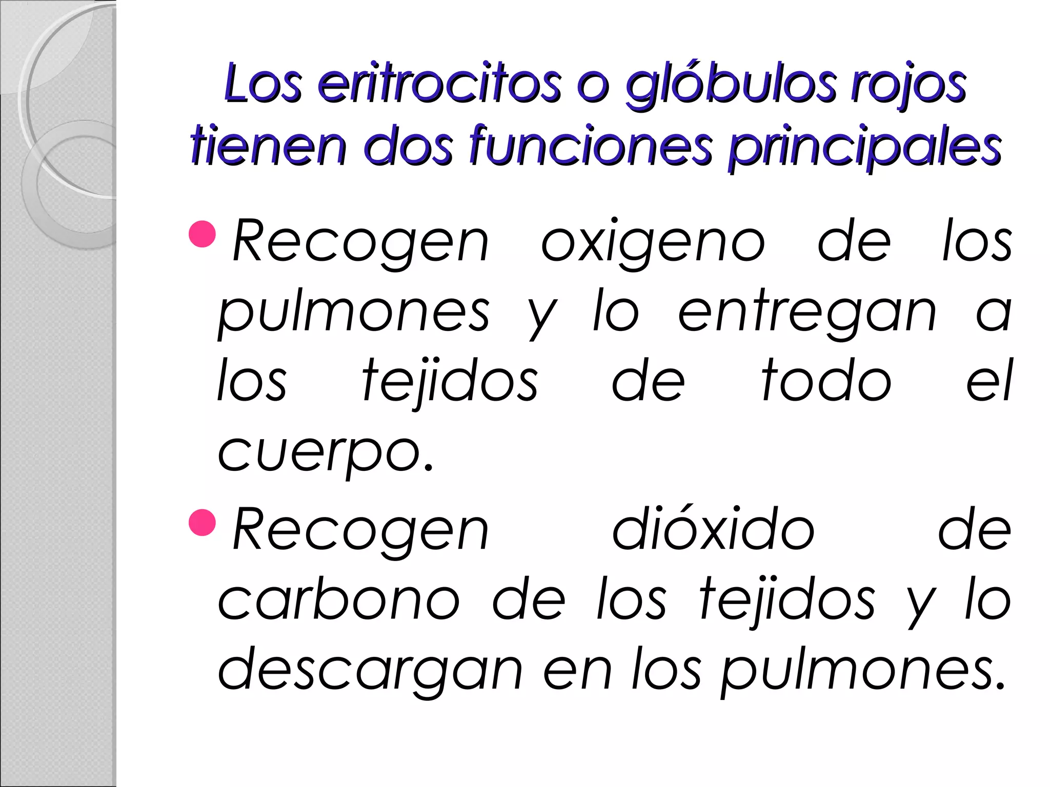 Los eritrocitos o glóbulos rojosLos eritrocitos o glóbulos rojos
tienen dos funciones principalestienen dos funciones principales
Recogen oxigeno de los
pulmones y lo entregan a
los tejidos de todo el
cuerpo.
Recogen dióxido de
carbono de los tejidos y lo
descargan en los pulmones.