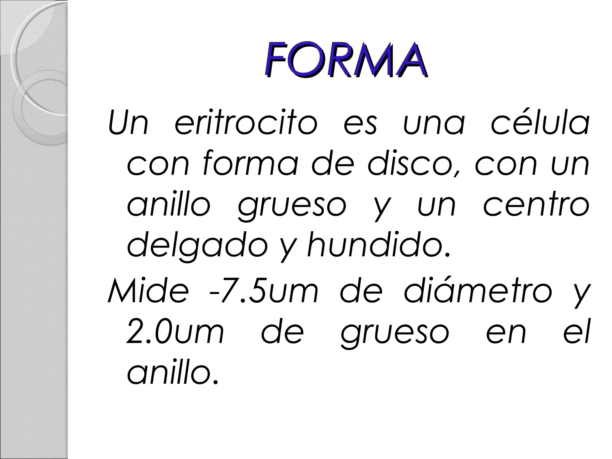 FORMAFORMA
Un eritrocito es una célula
con forma de disco, con un
anillo grueso y un centro
delgado y hundido.
Mide -7.5um de diámetro y
2.0um de grueso en el
anillo.
