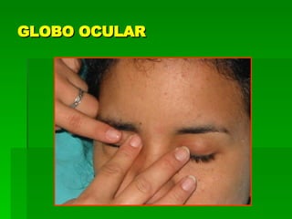 GLOBO OCULAR 