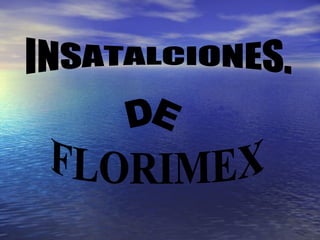 INSATALCIONES. DE FLORIMEX 