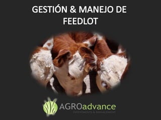 GESTIÓN & MANEJO DE  FEEDLOT 