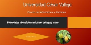 Universidad César Vallejo
Centro de Informática y Sistemas
Lidia Ruiz Valera
 