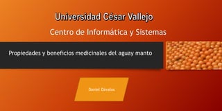 Propiedades y beneficios medicinales del aguay manto
Daniel Dávalos
Centro de Informática y Sistemas
 