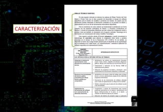 CARACTERIZACIÓN
246
 