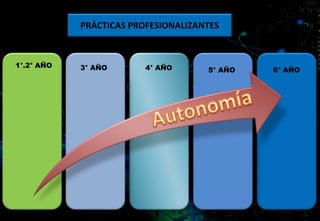 1°.2° AÑO 3° AÑO 4° AÑO 6° AÑO
4° AÑO
MUEBLES
5° AÑO
PRÁCTICAS PROFESIONALIZANTES
 