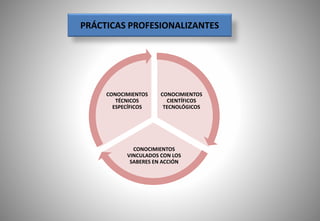 CONOCIMIENTOS
CIENTÍFICOS
TECNOLÓGICOS
CONOCIMIENTOS
VINCULADOS CON LOS
SABERES EN ACCIÓN
CONOCIMIENTOS
TÉCNICOS
ESPECÍFICOS
PRÁCTICAS PROFESIONALIZANTES
 