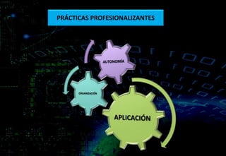 PRÁCTICAS PROFESIONALIZANTES
 