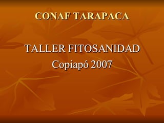 CONAF TARAPACA ,[object Object],[object Object]