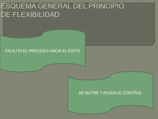 FACILITA EL PROCESO HACIA EL ÉXITO
SE NUTRE Y AYUDA AL CONTROL
 