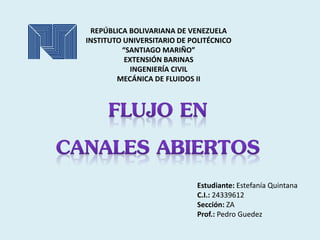 Estudiante: Estefanía Quintana
C.I.: 24339612
Sección: ZA
Prof.: Pedro Guedez
REPÚBLICA BOLIVARIANA DE VENEZUELA
INSTITUTO UNIVERSITARIO DE POLITÉCNICO
“SANTIAGO MARIÑO”
EXTENSIÓN BARINAS
INGENIERÍA CIVIL
MECÁNICA DE FLUIDOS II
 