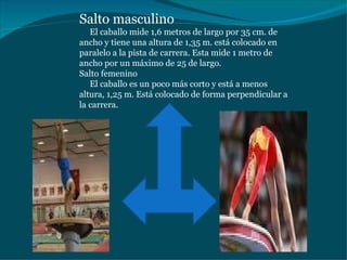 Salto masculino       El caballo mide 1,6 metros de largo por 35 cm. de ancho y tiene una altura de 1,35 m. está colocado en paralelo a la pista de carrera. Esta mide 1 metro de ancho por un máximo de 25 de largo. Salto femenino       El caballo es un poco más corto y está a menos altura, 1,25 m. Está colocado de forma perpendicular a la carrera. 