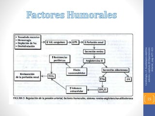 15
Cardiología,J.F.Guadalajaraséptima
edición,capitulo20Hipertensión
Arterial,,pag.-677-615
 