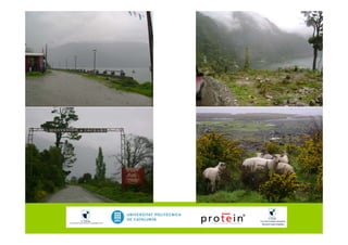 TIC's como Herramienta de Emprendimiento en Comunidades Rurales