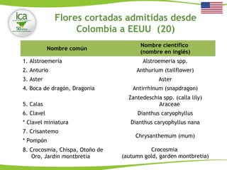Flores cortadas admitidas desde
Colombia a EEUU (20)
Nombre común
Nombre científico
(nombre en inglés)
1. Alstroemeria Alstroemeria spp.
2. Anturio Anthurium (tailflower)
3. Aster Aster
4. Boca de dragón, Dragonia Antirrhinum (snapdragon)
5. Calas
Zantedeschia spp. (calla lily)
Araceae
6. Clavel Dianthus caryophyllus
* Clavel miniatura Dianthus caryophyllus nana
7. Crisantemo
Chrysanthemum (mum)
* Pompón
8. Crocosmia, Chispa, Otoño de
Oro, Jardin montbretia
Crocosmia
(autumn gold, garden montbretia)
 