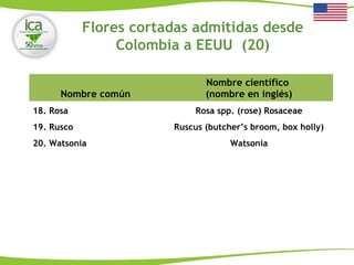 Nombre común
Nombre científico
(nombre en inglés)
18. Rosa Rosa spp. (rose) Rosaceae
19. Rusco Ruscus (butcher’s broom, box holly)
20. Watsonia Watsonia
Flores cortadas admitidas desde
Colombia a EEUU (20)
 