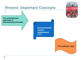 Present: Important Concepts The polluter pays Environmental impact assessment  (EIA) The precautionary approach or precautionary principle: The polluter pays 