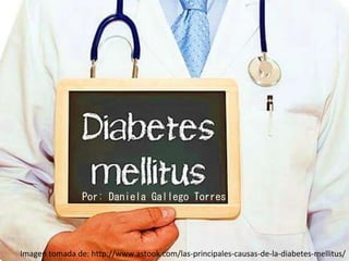 Imagen tomada de: http://www.astook.com/las-principales-causas-de-la-diabetes-mellitus/
Por: Daniela Gallego Torres
 