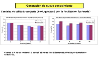 Generación de nuevo conocimiento Cantidad vs calidad: campaña 06-07, que pasó con la fertilización fosforada? -Cuando el N no fue limitante, la adición de P hizo caer el contenido proteico por aumento de rendimiento.  