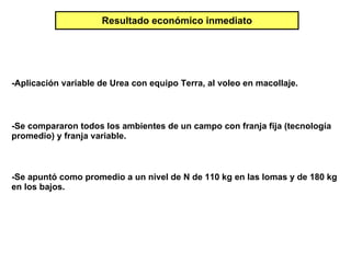 Resultado económico inmediato -Se compararon todos los ambientes de un campo con franja fija (tecnología promedio) y franja variable. -Se apuntó como promedio a un nivel de N de 110 kg en las lomas y de 180 kg en los bajos. -Aplicación variable de Urea con equipo Terra, al voleo en macollaje. 