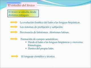 El estudio del léxico La evolución fonética del latín a las lenguas hispánicas. Los sistemas de prefijación y sufijación.  Pervivencia de latinismos. Aforismos latinos. Formación de campos semánticos: Desde el latín a las lenguas hispánicas y viceversa. Etimologías. Dentro del propio latín.  El lenguaje científico y técnico. El léxico se estudia desde distintos enfoques: 