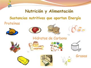 Sustancias nutritivas que aportan Energía Proteínas Hidratos de Carbono Grasas Nutrición y Alimentación 