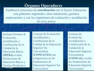 07/06/09 Órganos Operadores Establecen relaciones de  coordinación  con el Sector Educación, con gobiernos regionales, otros ministerios, gremios empresariales y con los organismos de evaluación y acreditación de otros países Instituto Peruano de Evaluación, Acreditación y Certificación de la Calidad de la Educación Básica ( IPEBA)  evalúa Instituciones de Educación Básica y Técnico-Productiva Consejo de Evaluación, Acreditación y Certificación de la Calidad de la Educación Superior No Universitaria  ( CONEACES)  con competencia en las Instituciones de Educación Superior No Universitaria Consejo de Evaluación, Acreditación y Certificación de la Calidad de la Educación Superior Universitaria  ( CONEAU) , evalúa las Instituciones de Educación Superior Universitaria 