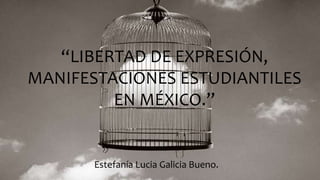 Estefanía Lucia Galicia Bueno.
“LIBERTAD DE EXPRESIÓN,
MANIFESTACIONES ESTUDIANTILES
EN MÉXICO.”
 