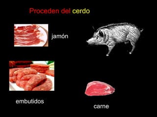 Proceden del cerdojamónembutidoscarne
