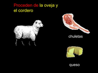 Proceden de la oveja y el corderochuletasqueso