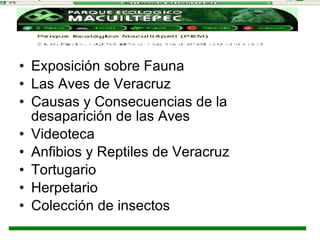 Exposición sobre Fauna   Las Aves de Veracruz  Causas y Consecuencias de la desaparición de las Aves Videoteca Anfibios y Reptiles de Veracruz   Tortugario   Herpetario Colección de insectos 