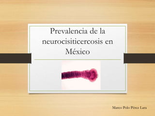 Prevalencia de la
neurocisiticercosis en
México
Marco Polo Pérez Lara
 
