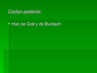 Cordon posterior: Haz de Goll y de Burdach 